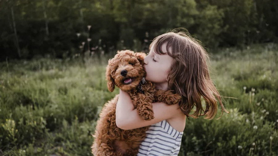 Chienne Freyja en mission