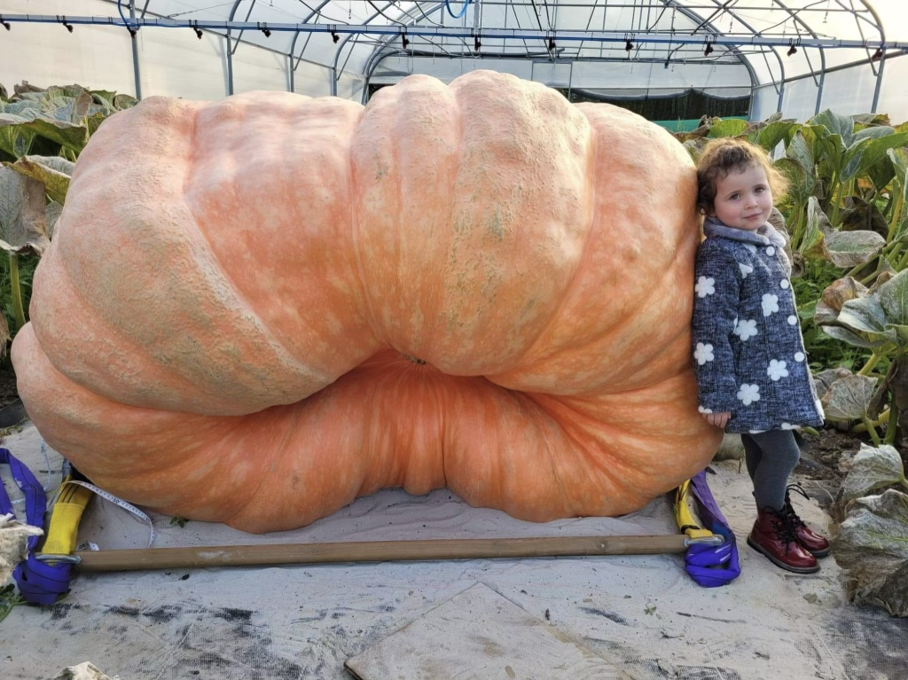 Armand Charlot avec son potiron